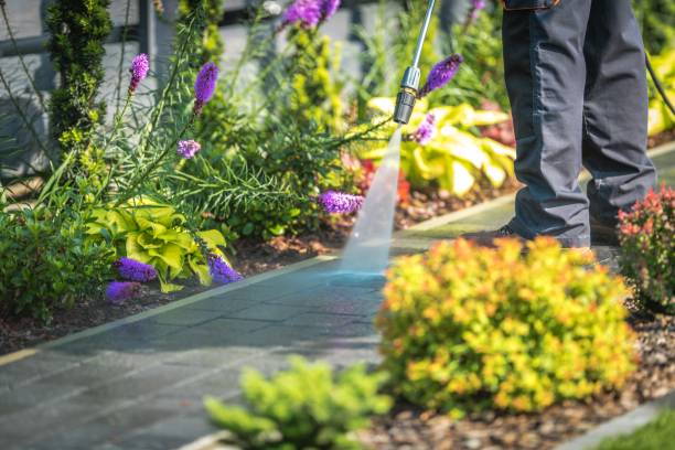 Best House Exterior Washing  in Warren, PA